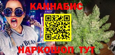 прущие грибы Шелехов