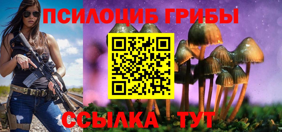 Псилоцибиновые грибы MAGIC MUSHROOMS  Вход с VPN  Гатчина 