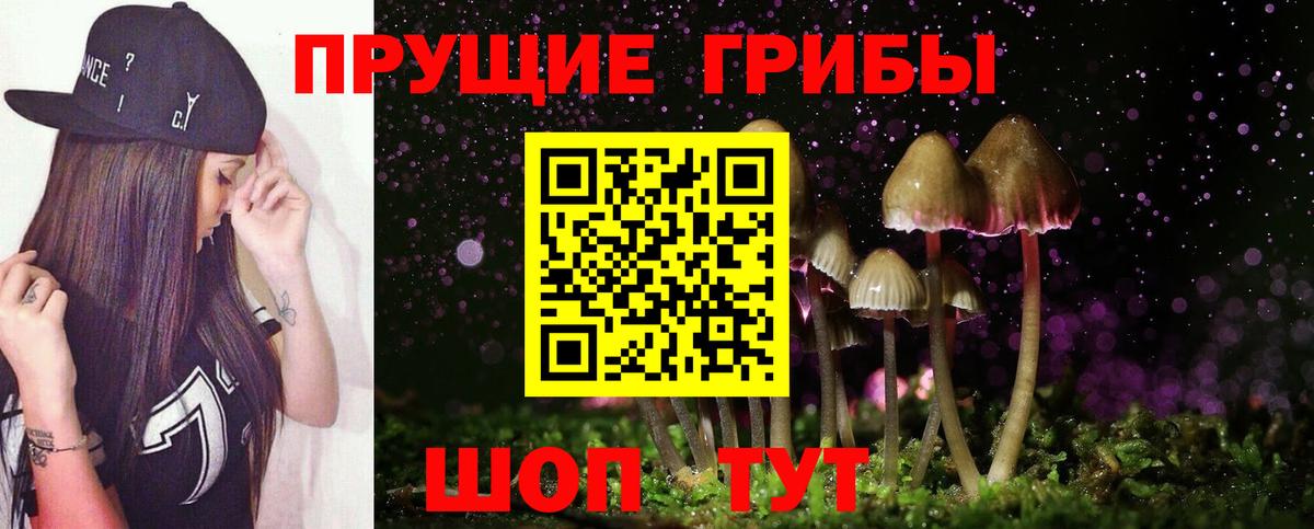 Псилоцибиновые грибы ЛСД Гатчина